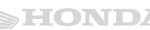 Vector